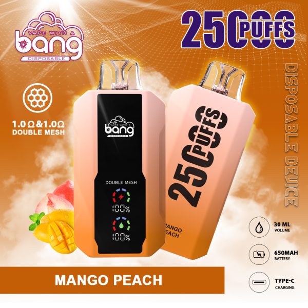 Bang 25K Puffs Disposable Vape - Image 8