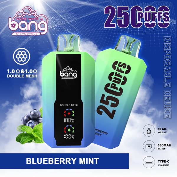 Bang 25K Puffs Disposable Vape - Image 5