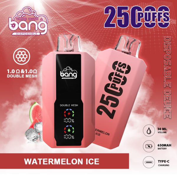 Bang 25K Puffs Disposable Vape - Image 11